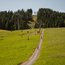 Cyclists on mountain path next to ski lift and green meadow